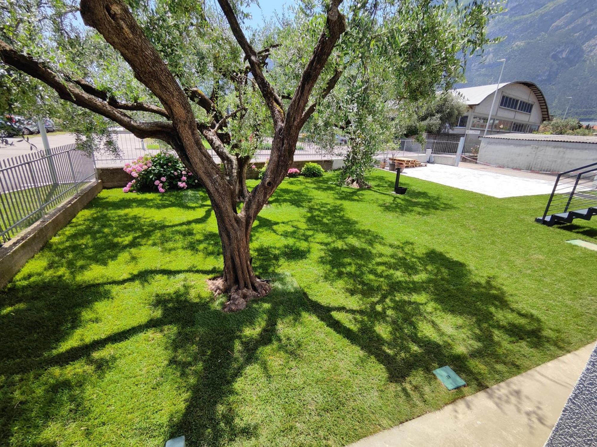 Oasi Degli Ulivi Apartman Riva del Garda Kültér fotó