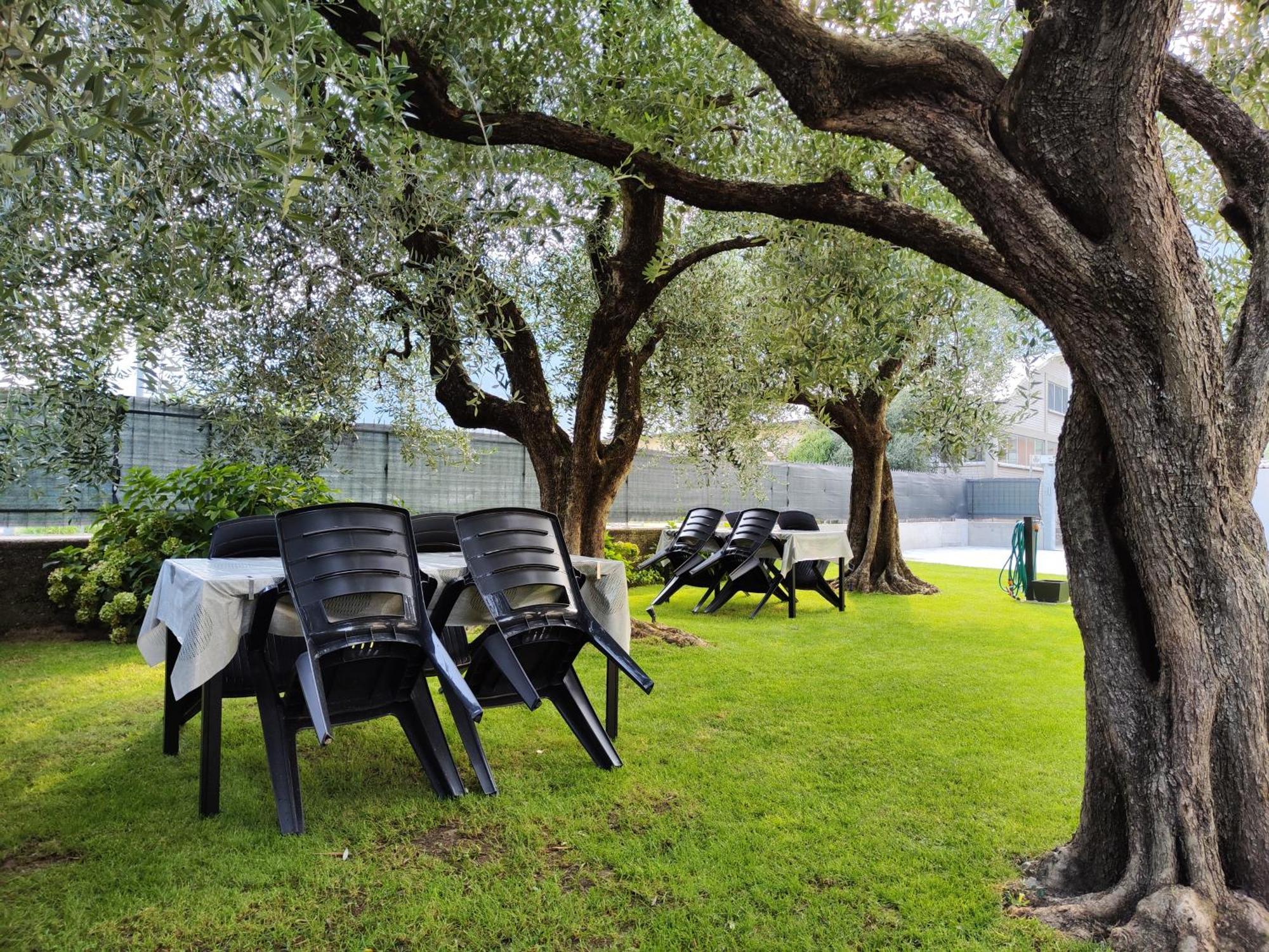 Oasi Degli Ulivi Apartman Riva del Garda Kültér fotó
